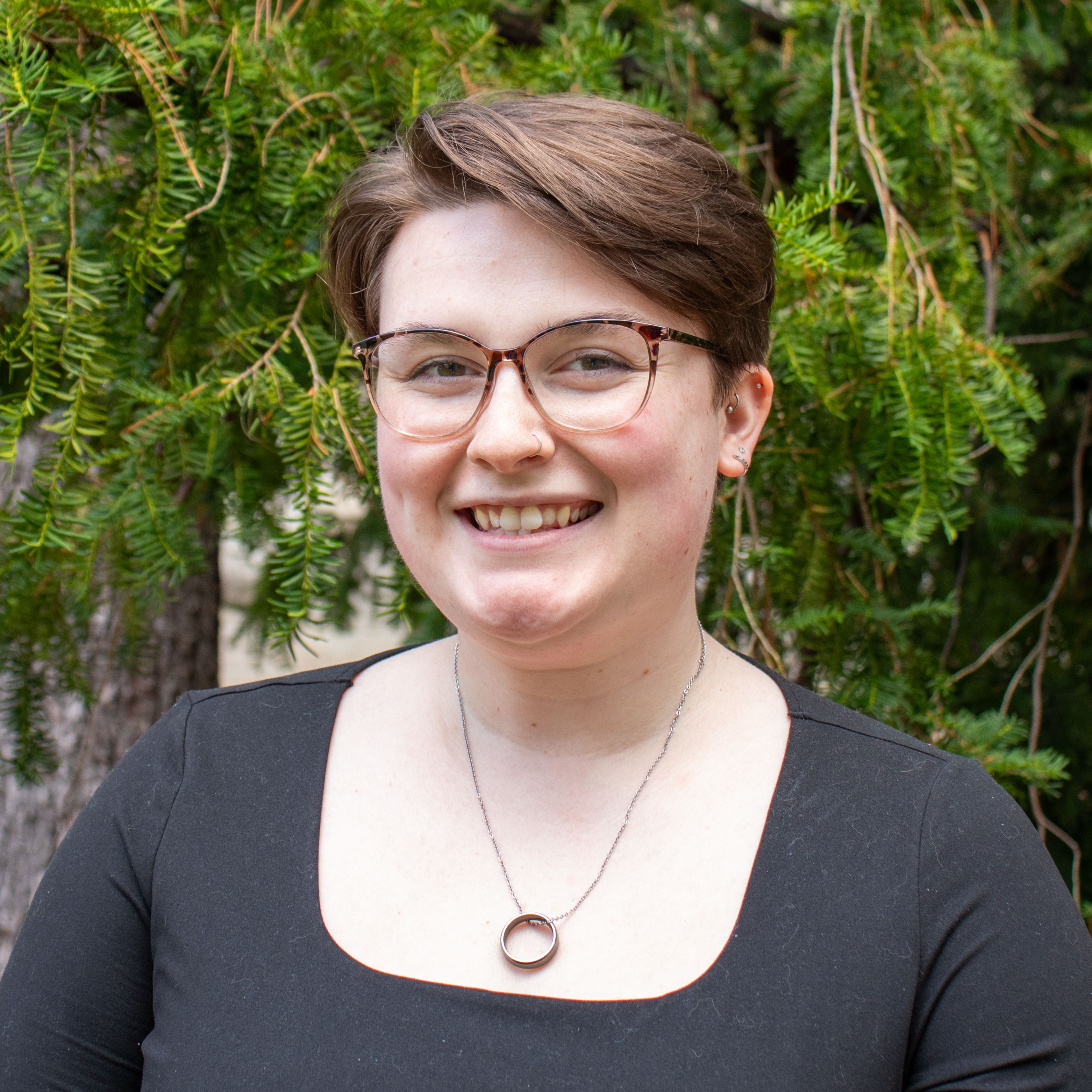 This text appears when someone is browsing using assistive technologies.